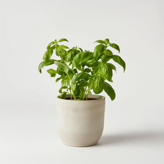 Example product